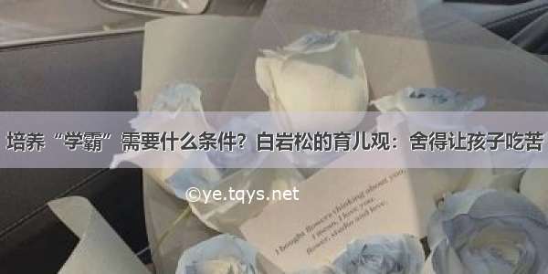 培养“学霸”需要什么条件？白岩松的育儿观：舍得让孩子吃苦