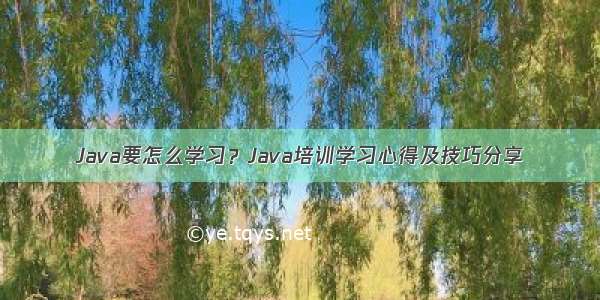 Java要怎么学习？Java培训学习心得及技巧分享