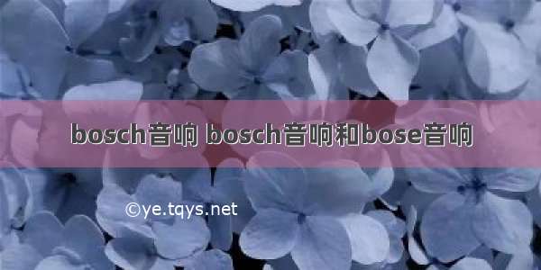 bosch音响 bosch音响和bose音响