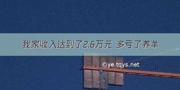 我家收入达到了2.6万元 多亏了养羊