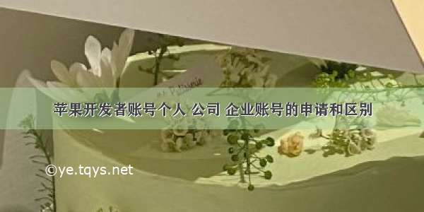 苹果开发者账号个人 公司 企业账号的申请和区别