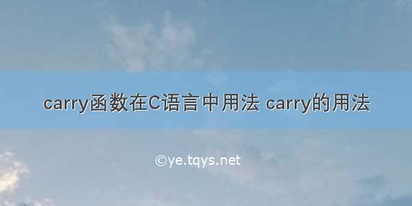 carry函数在C语言中用法 carry的用法