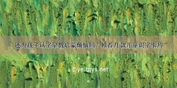 还为孩子认字早教启蒙烦恼吗？推荐几款儿童识字卡片