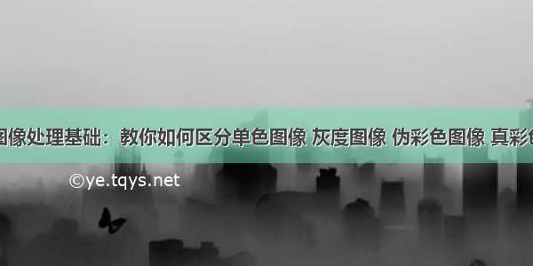 数字图像处理基础：教你如何区分单色图像 灰度图像 伪彩色图像 真彩色图像