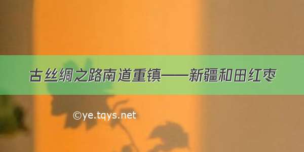 古丝绸之路南道重镇——新疆和田红枣