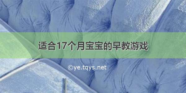 适合17个月宝宝的早教游戏