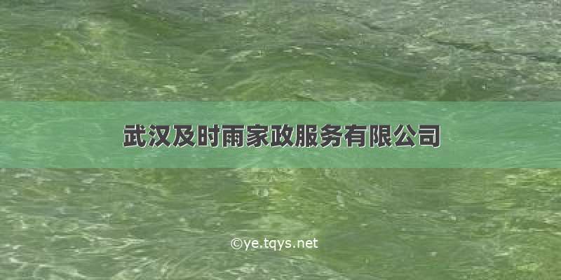 武汉及时雨家政服务有限公司