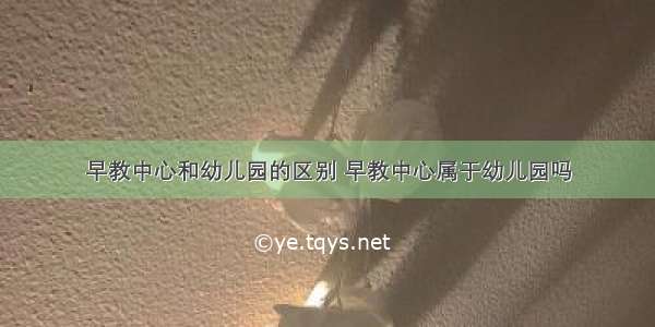 早教中心和幼儿园的区别 早教中心属于幼儿园吗