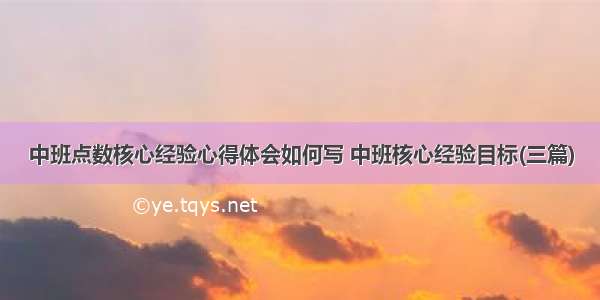 中班点数核心经验心得体会如何写 中班核心经验目标(三篇)