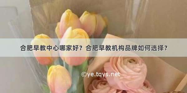 合肥早教中心哪家好？合肥早教机构品牌如何选择？