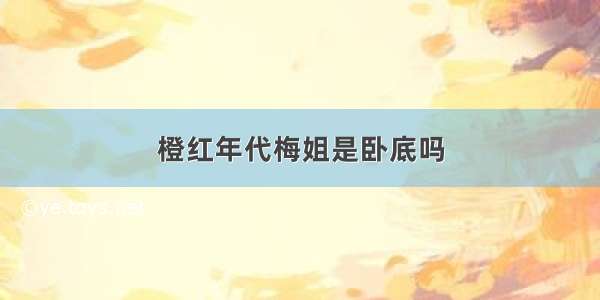 橙红年代梅姐是卧底吗