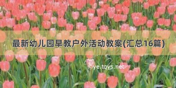 最新幼儿园早教户外活动教案(汇总16篇)