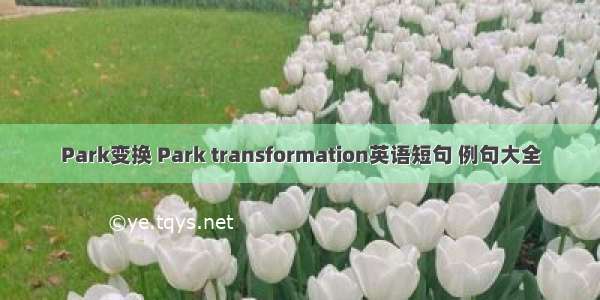 Park变换 Park transformation英语短句 例句大全
