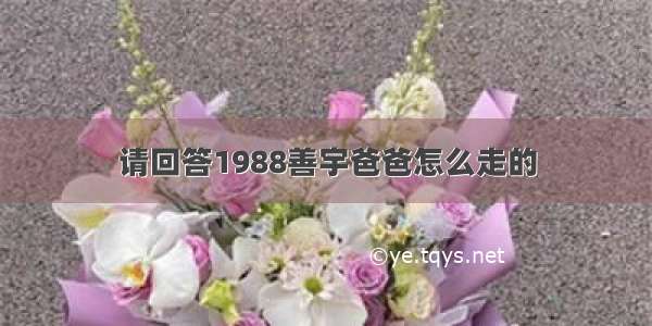 请回答1988善宇爸爸怎么走的