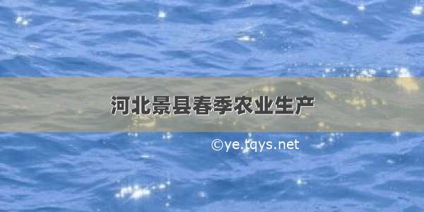 河北景县春季农业生产