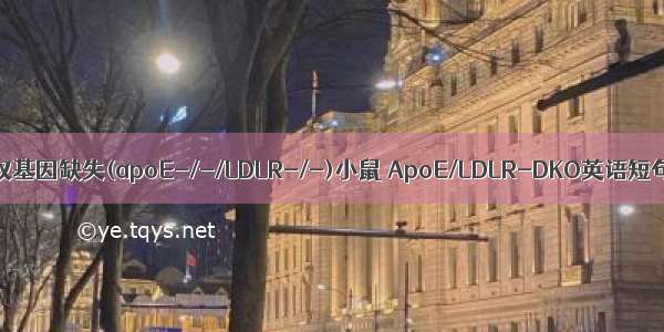 ApoE LDLR双基因缺失(apoE-/-/LDLR-/-)小鼠 ApoE/LDLR-DKO英语短句 例句大全