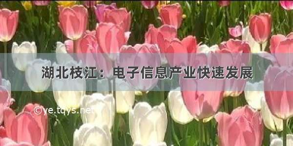 湖北枝江：电子信息产业快速发展