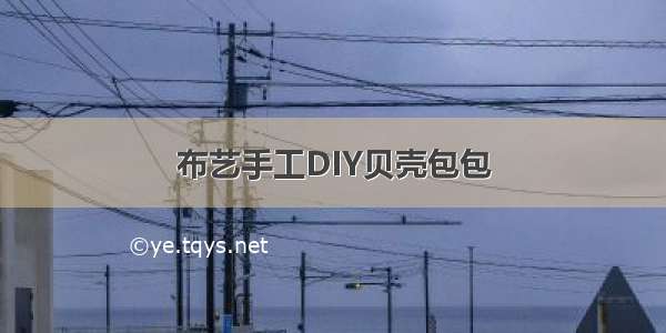 布艺手工DIY贝壳包包