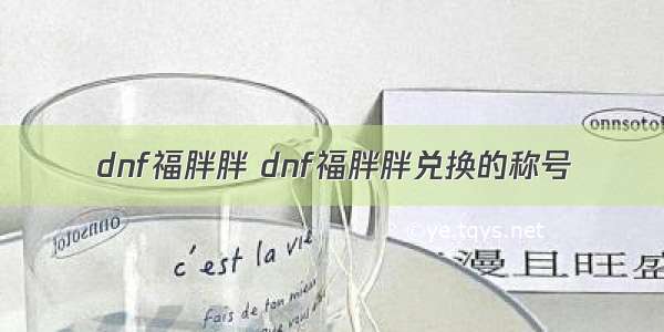 dnf福胖胖 dnf福胖胖兑换的称号