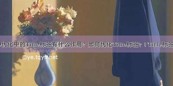 SEO优化中的Title标签有什么作用？如何优化Title标签？| Title标签作用