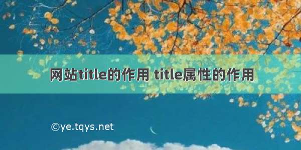 网站title的作用 title属性的作用