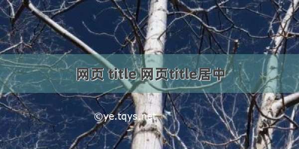 网页 title 网页title居中