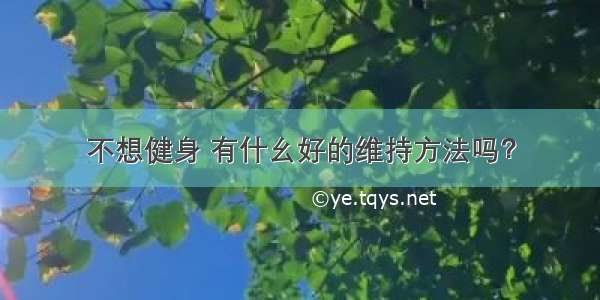 不想健身 有什幺好的维持方法吗？