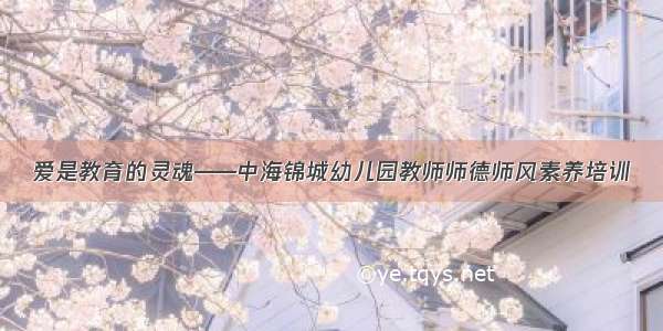 爱是教育的灵魂——中海锦城幼儿园教师师德师风素养培训