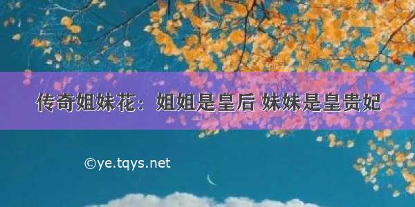 传奇姐妹花：姐姐是皇后 妹妹是皇贵妃