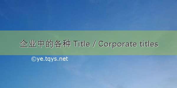 企业中的各种 Title / Corporate titles