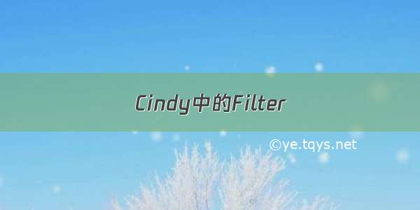 Cindy中的Filter