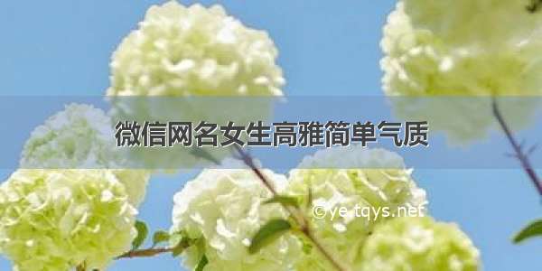 微信网名女生高雅简单气质