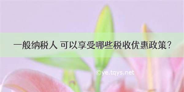 一般纳税人 可以享受哪些税收优惠政策？