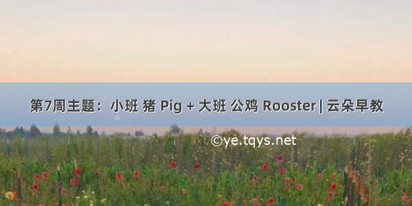 第7周主题：小班 猪 Pig + 大班 公鸡 Rooster | 云朵早教