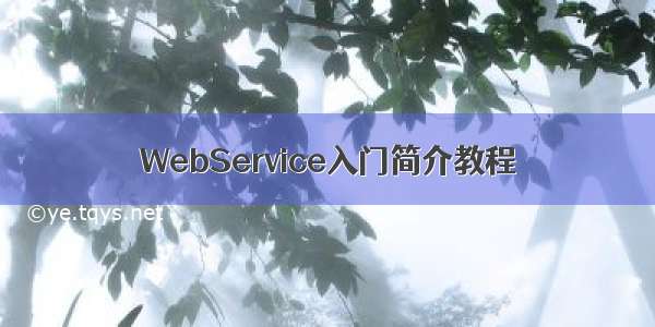 WebService入门简介教程