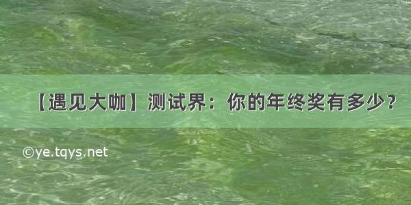 【遇见大咖】测试界：你的年终奖有多少？