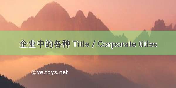 企业中的各种 Title / Corporate titles