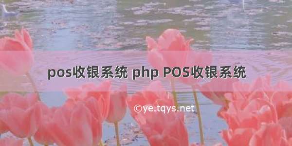 pos收银系统 php POS收银系统