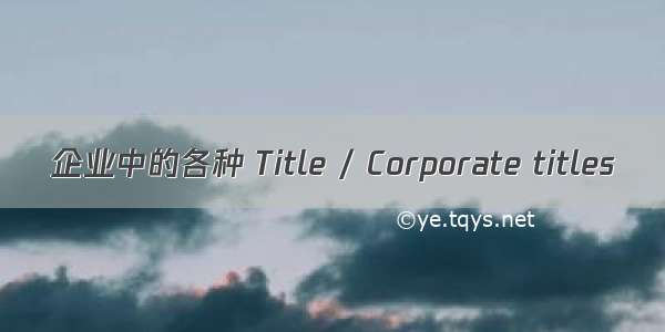 企业中的各种 Title / Corporate titles