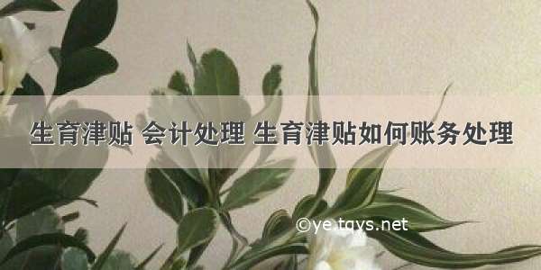 生育津贴 会计处理 生育津贴如何账务处理