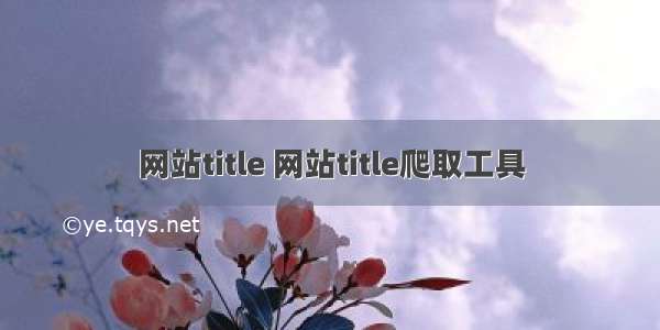 网站title 网站title爬取工具