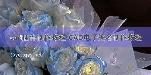 cad插件制作教程_CAD电子签名制作教程