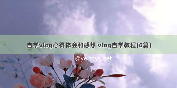 自学vlog心得体会和感想 vlog自学教程(6篇)