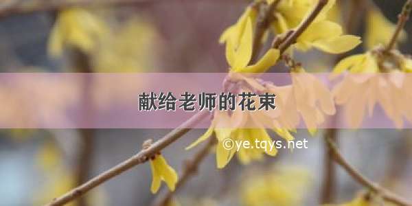 献给老师的花束