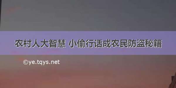 农村人大智慧 小偷行话成农民防盗秘籍