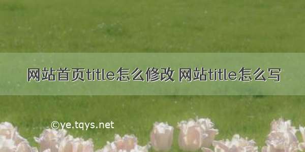 网站首页title怎么修改 网站title怎么写