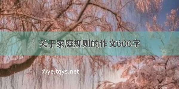 关于家庭规则的作文600字