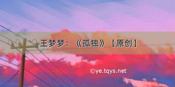 王梦梦：《孤独》【原创】