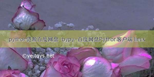 python资源百度网盘-bypy-百度网盘Python客户端 linux