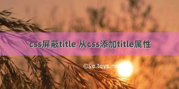 css屏蔽title 从css添加title属性